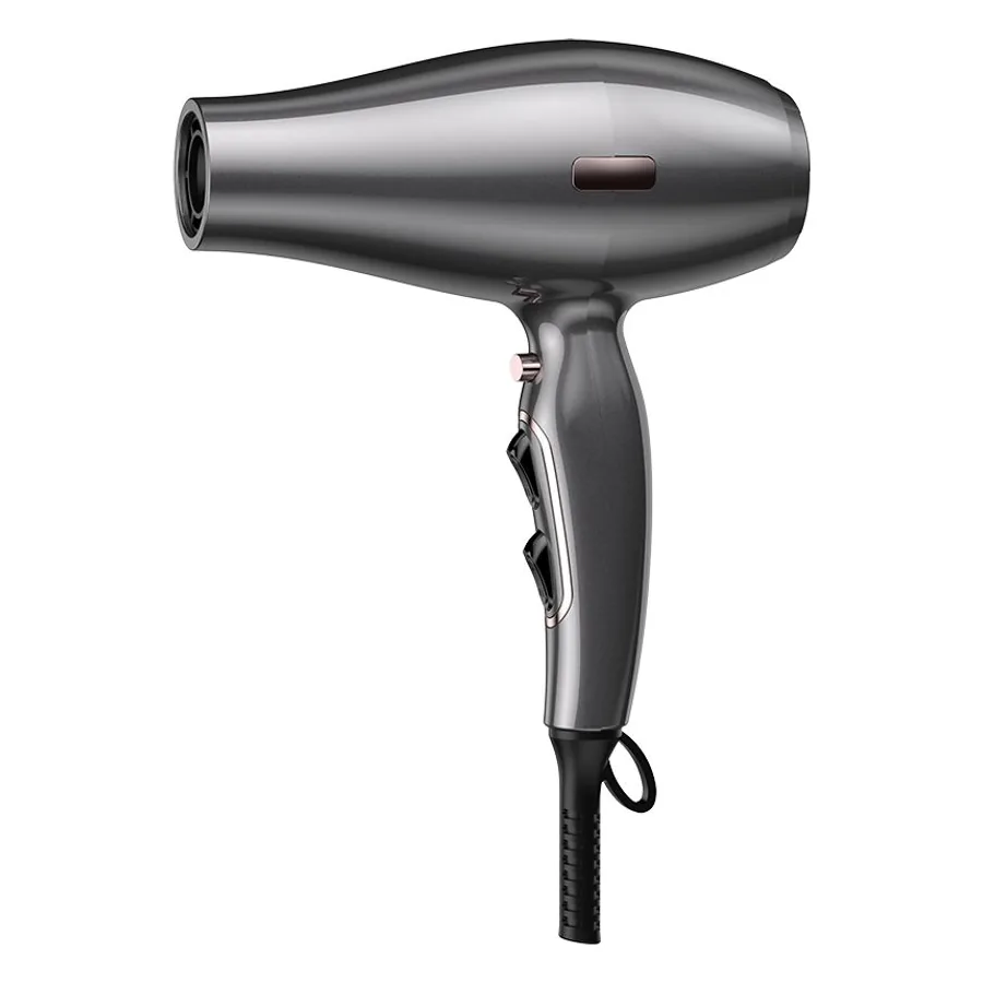 Secador Profesional de Salón D818