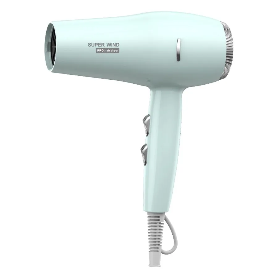 Secador Profesional de Salón H101